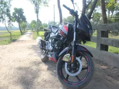 Bajaj Pulsar 150 Twin Disc